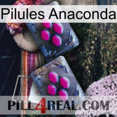 Anaconda Pills 01